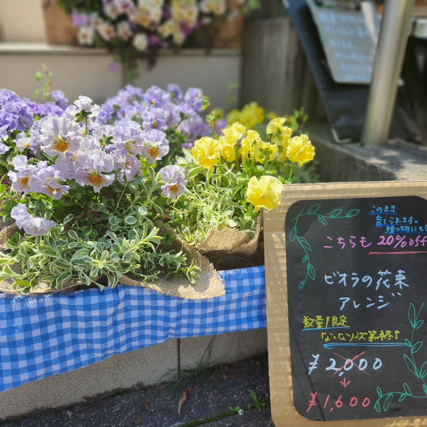 【20％off❤ビオラの花束アレンジ SALE中❗】