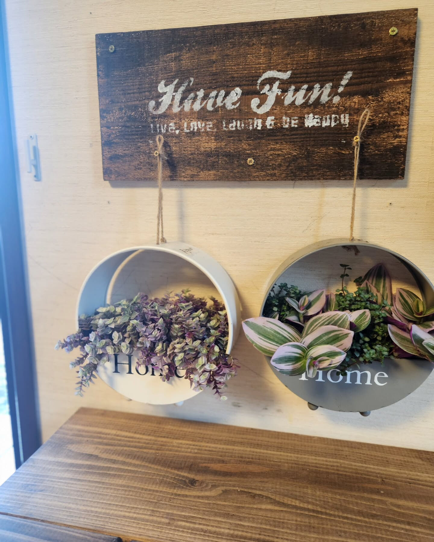 【観葉植物arrange𓂃𓂂ꕤ*.ﾟ】