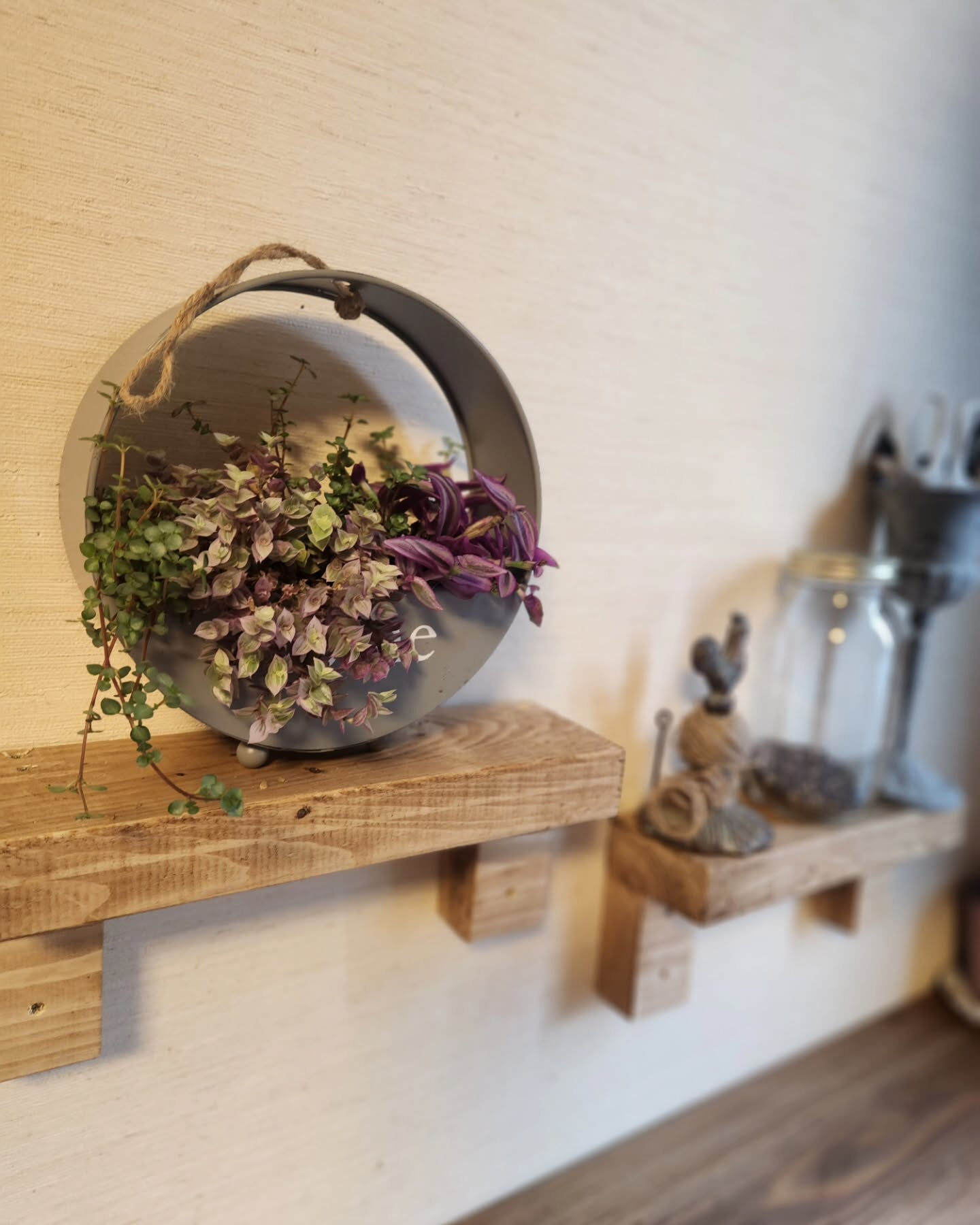 【観葉植物arrange𓂃𓂂ꕤ*.ﾟ】