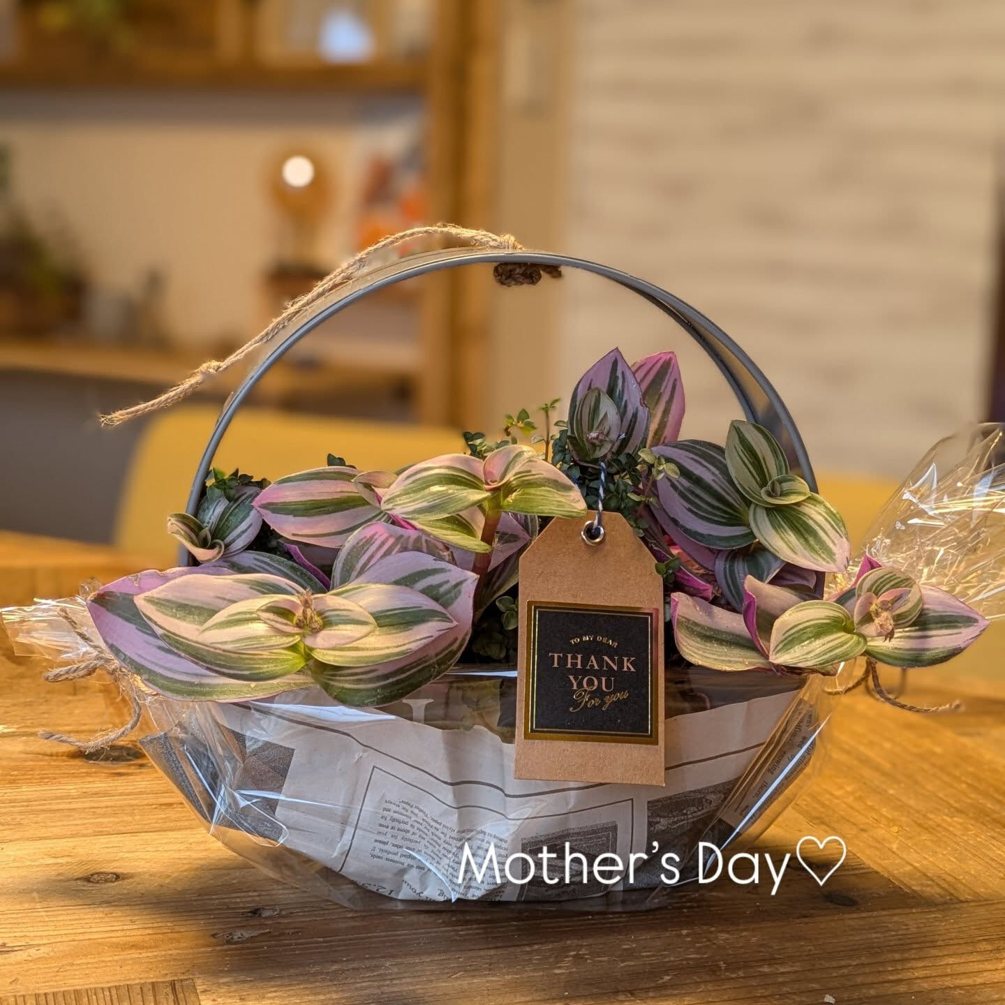 【Mothe’s Day♡観葉arrange𓂃𓂂ꕤ*.ﾟ】