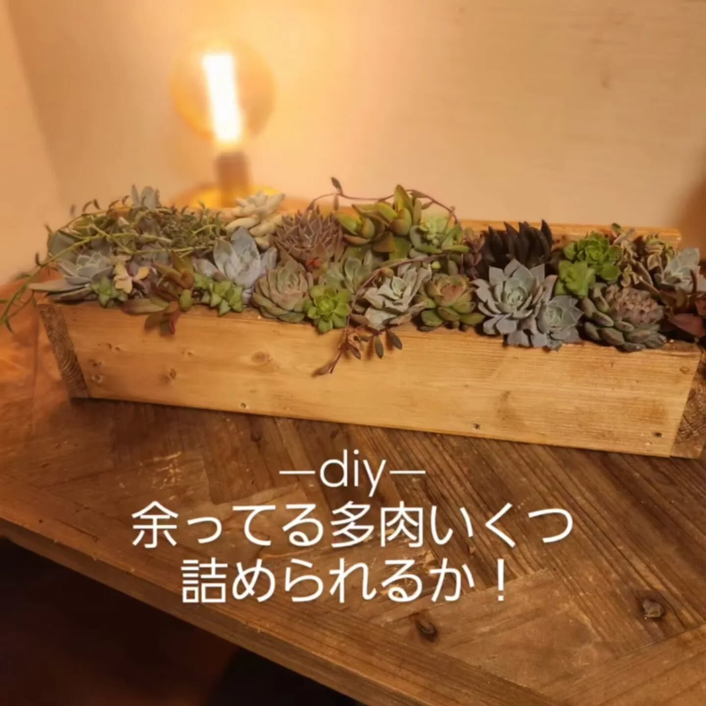 【50cmロング木箱リメイク𖤣𖥧𖡼.𖤣𖥧】