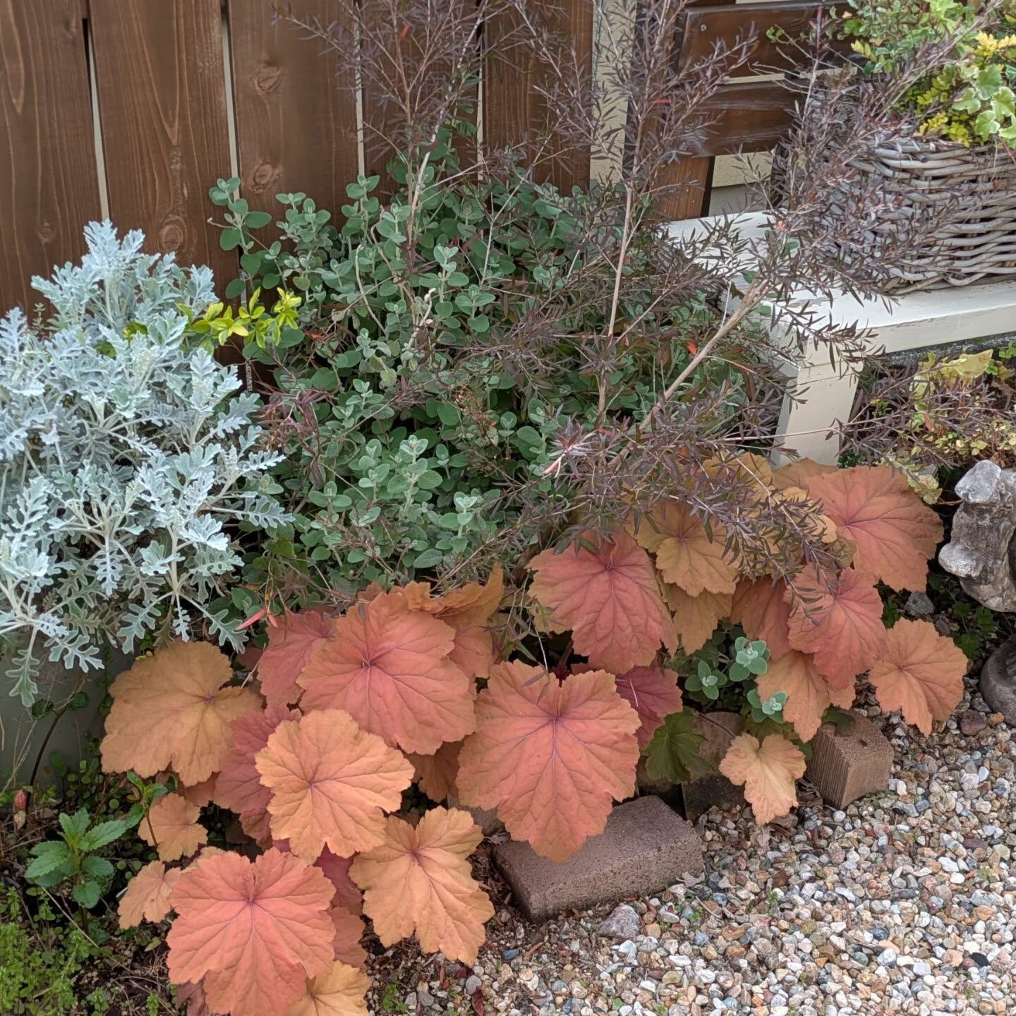 療養しながら、植物からパワーをもらう