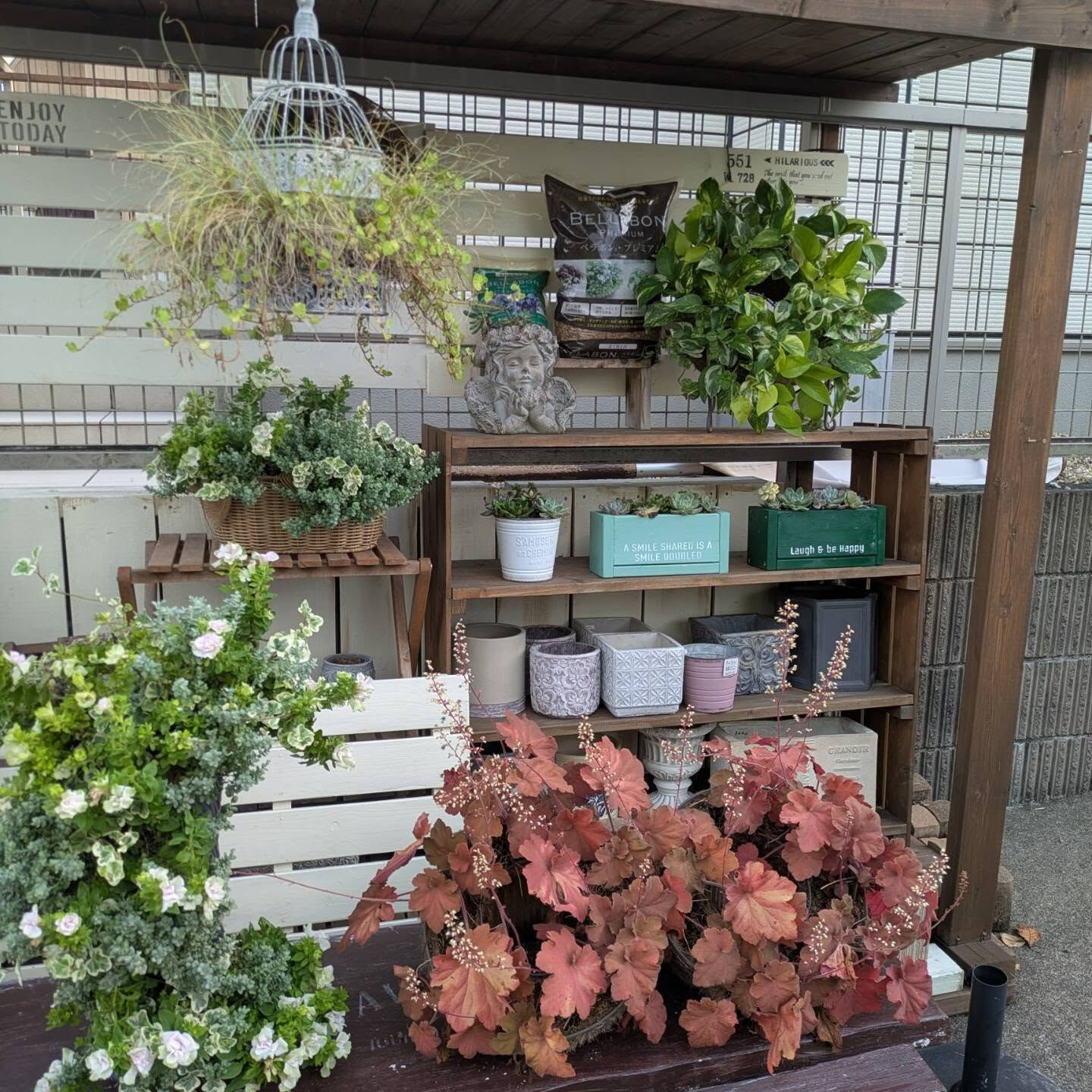 リースアレンジの観葉植物を、⁡